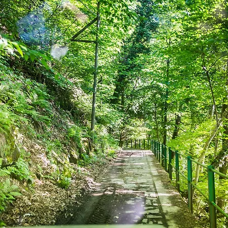 Domek letniskowy Piazzaga565