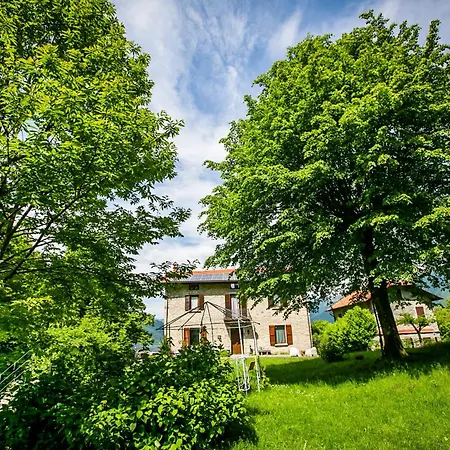 Piazzaga565